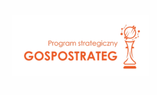 logotyp programu strategicznego